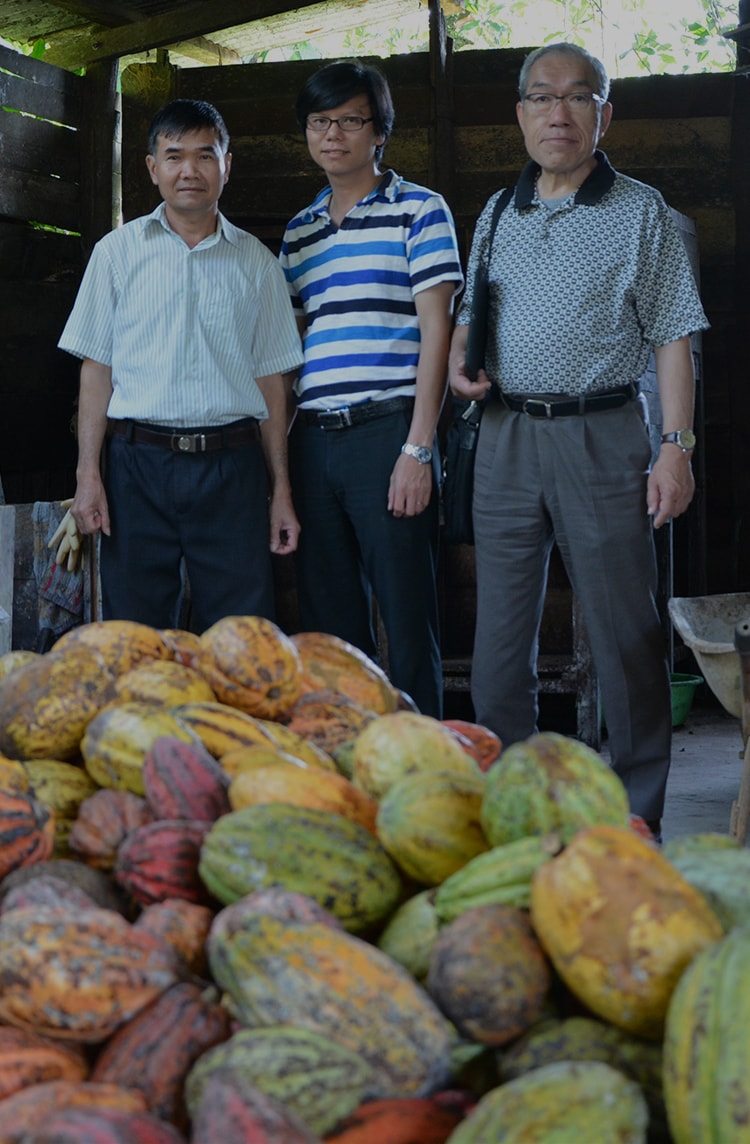 第4期カカオツリーのオーナー制度